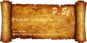 Pintér Szidónia névjegykártya