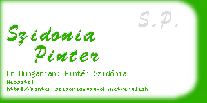 szidonia pinter business card